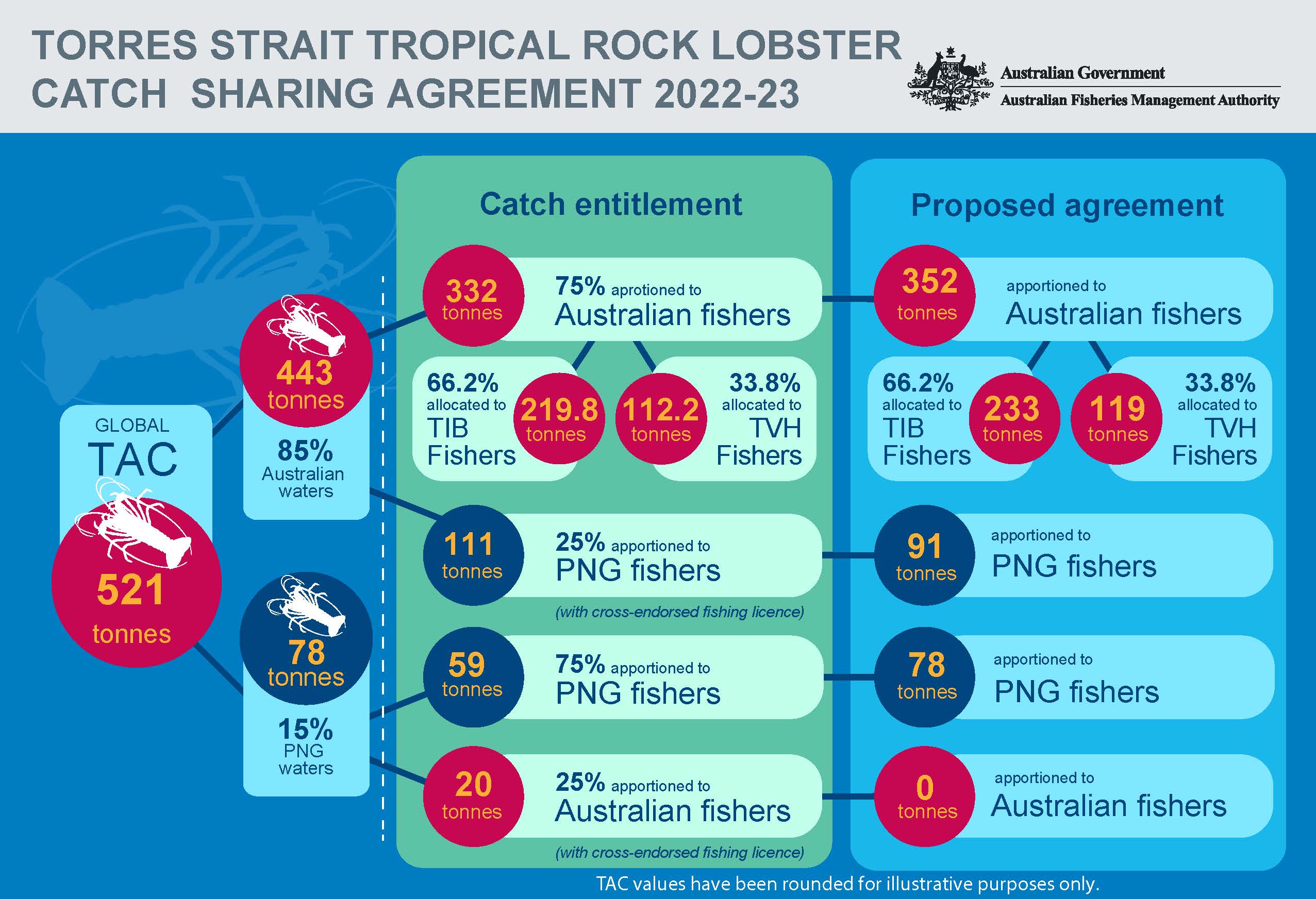 Tropical rock lobster infographic