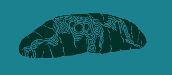 sea cucumber or beche de mer motif